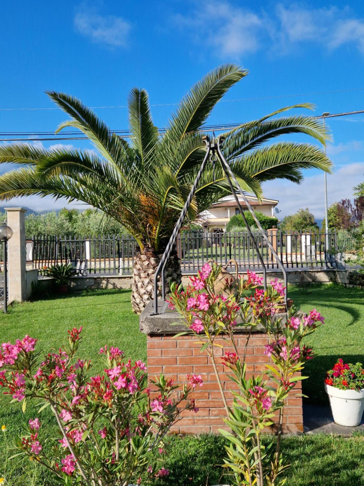 Relax In Campagna - Aquino Apartamento Exterior foto